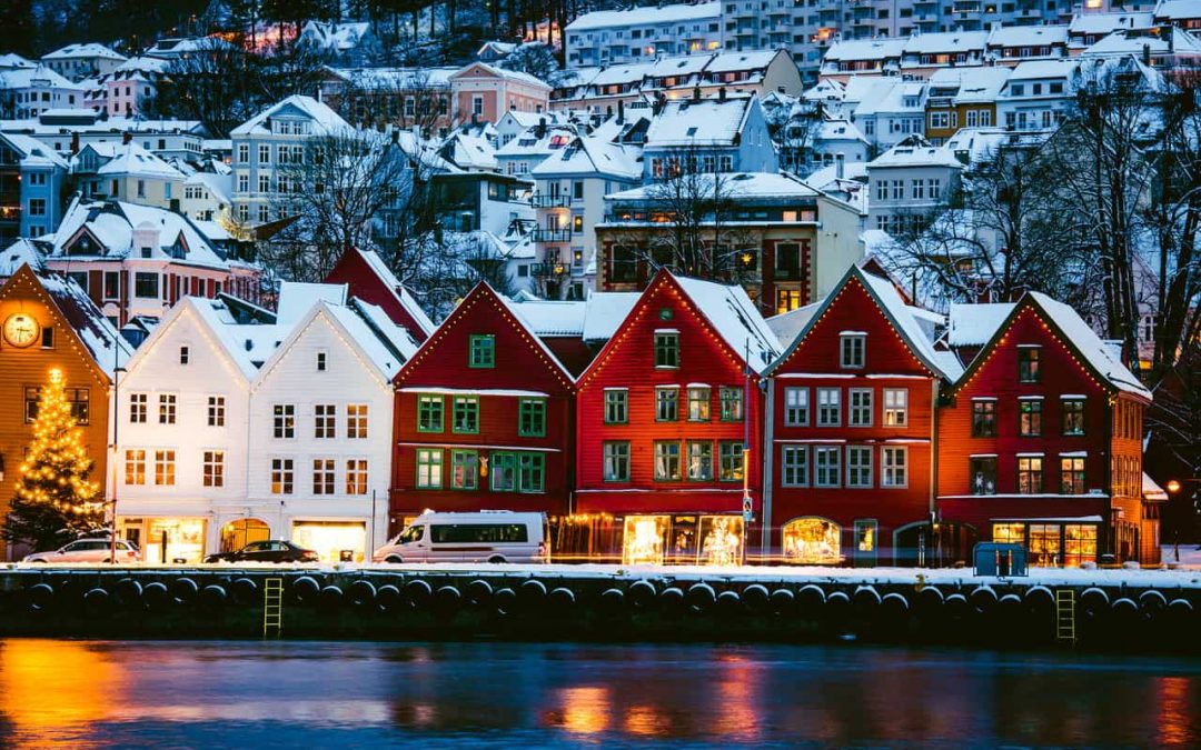 Rotter i Bergen – slik blir du kvitt dem